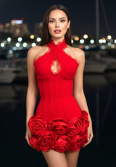 Halter Lace Insert Floral Dress Red