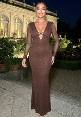 Mesh Long Sleeve Sparkly Maxi Dress Brown