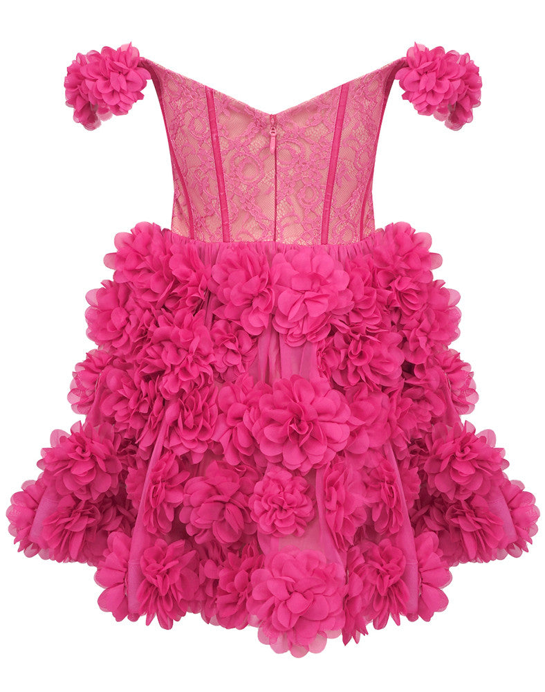 Bardot Lace Corset Floral A Line Dress Hot Pink