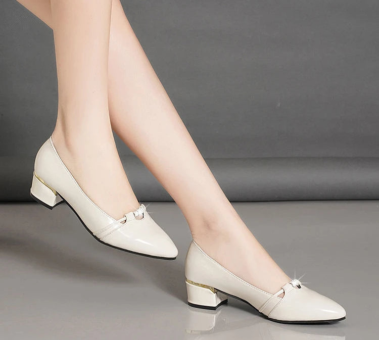 Elegant High Quality Pointed Toe With Medium High Heels Pumps