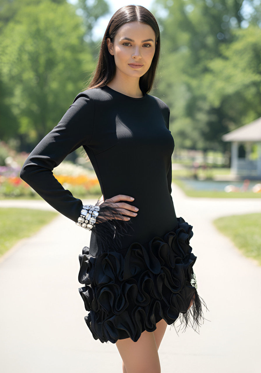 Crystal Feather Long Sleeve Ruffle Detail Dress Black