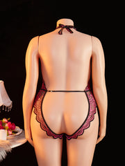 Plus Size Bodysuit Exotic Seductive Deep V Open Bra Crotchless Erotic Backless Sheer Lace Nightdress Lingerie Pajamas