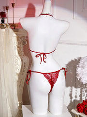 Sexi French Lace Bra And Panty Set Perspective