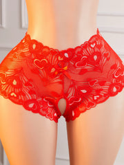 Lace Lingerie Sets Hollow Out Bra And Panty High Waist Sheer Mesh Babydoll Sleepwear Valentine's Day Clothing